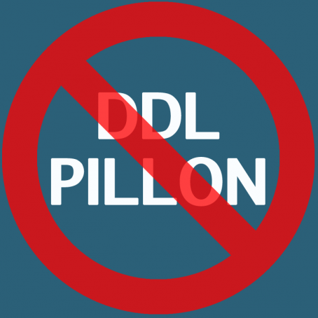 Image result for no pillon